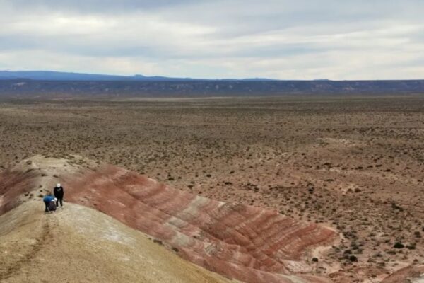 Avanza la digitalización de las guías mineras