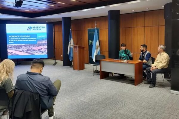 Neuquén expuso su potencial minero en el Workshop de Potasio