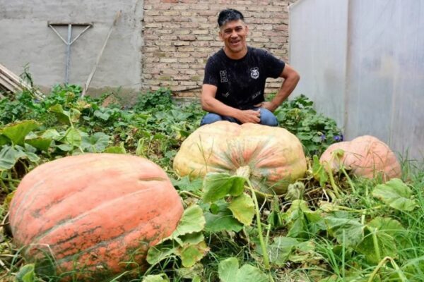 Una fiesta agroecológica para el cierre del concurso Ciudad Zapallo
