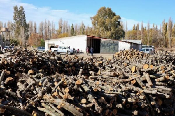 Inició la entrega de leña en barrios de Neuquén