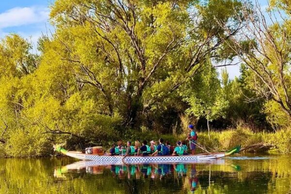 Por agua y por tierra: Plantarán sauces criollos en la reserva Rincón Limay