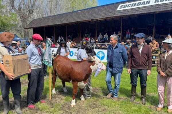 Figueroa recorrió la Exposición de Bovinos y el Remate Anual de Reproductores