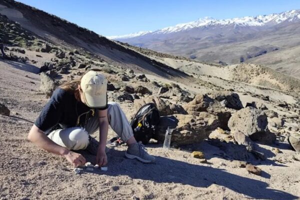 Importante hallazgo paleontológico en la región del Alto Neuquén